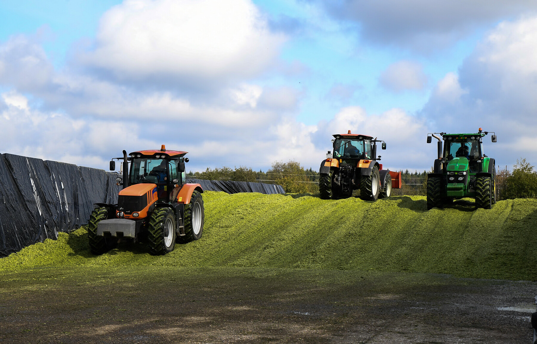 План по заготовке кормов в Тверской области выполнен на 100%