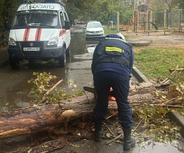 В Астрахани городские спасатели убрали с улицы рухнувшее дерево