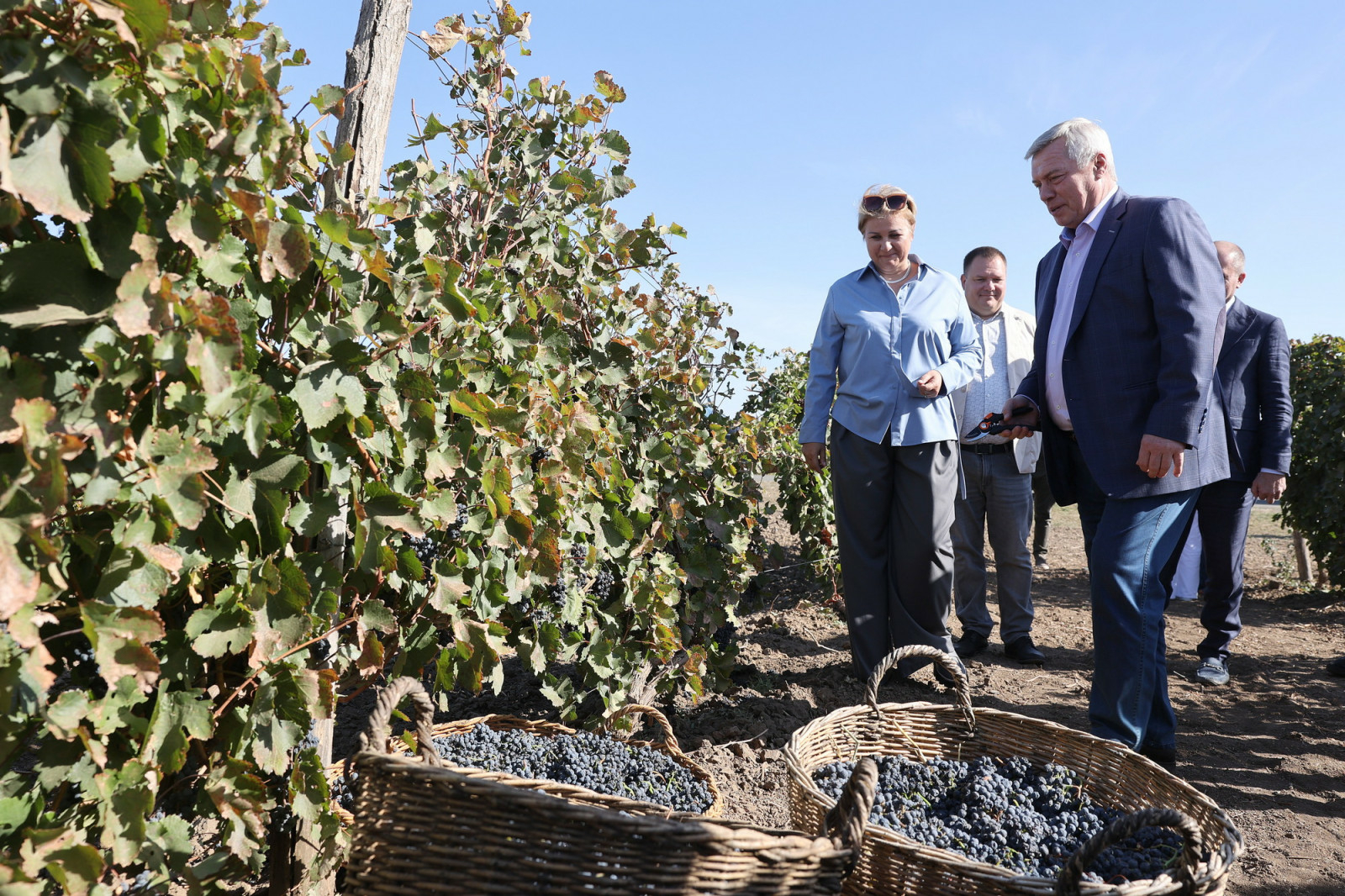 В Ростовской области разработают предложения для развития виноделия и виноградарства