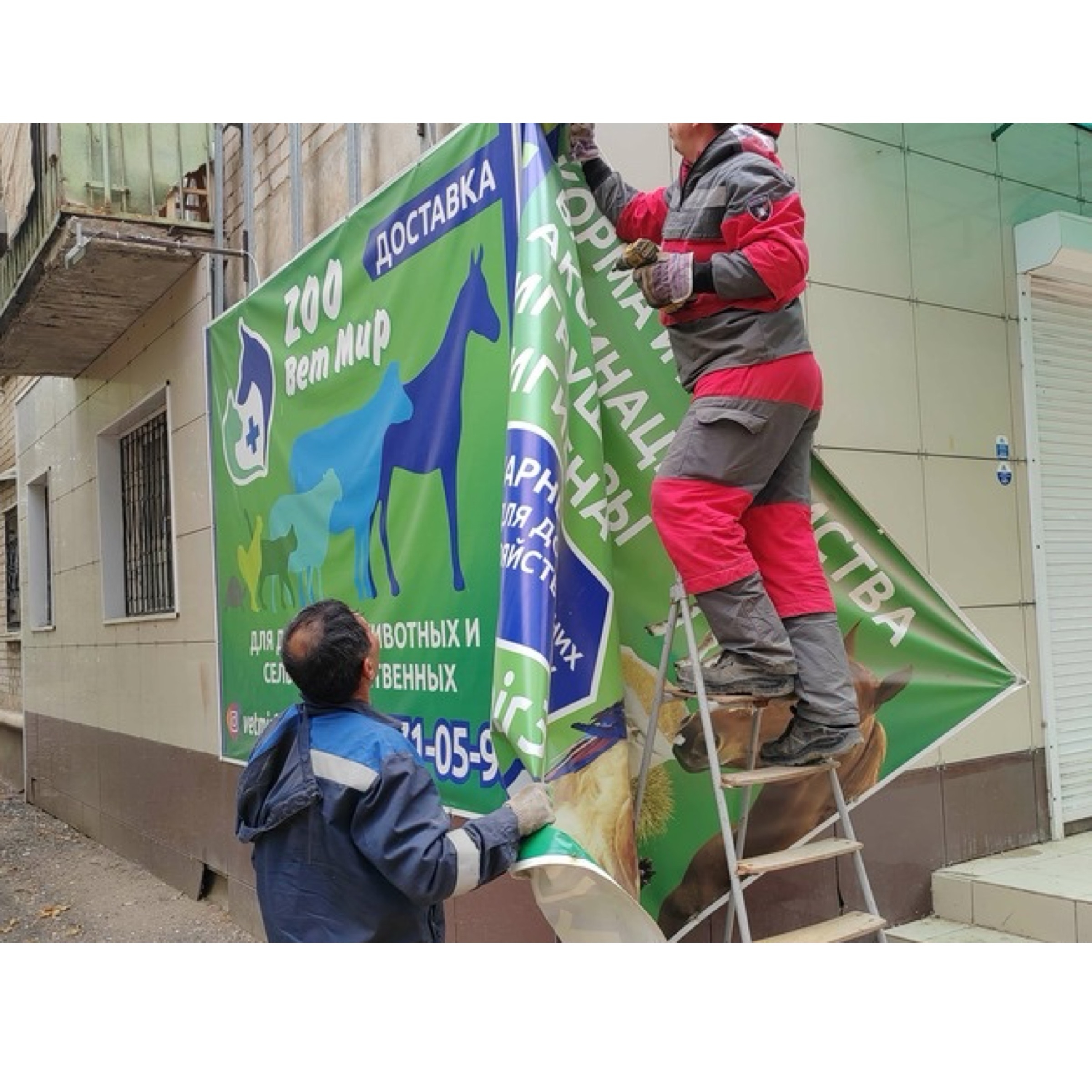 Более 2,3 тыс. незаконных билбордов и баннеров демонтировали в Астрахани