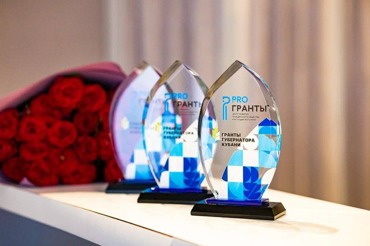 На Кубани с начала года гранты получили 186 проектов НКО