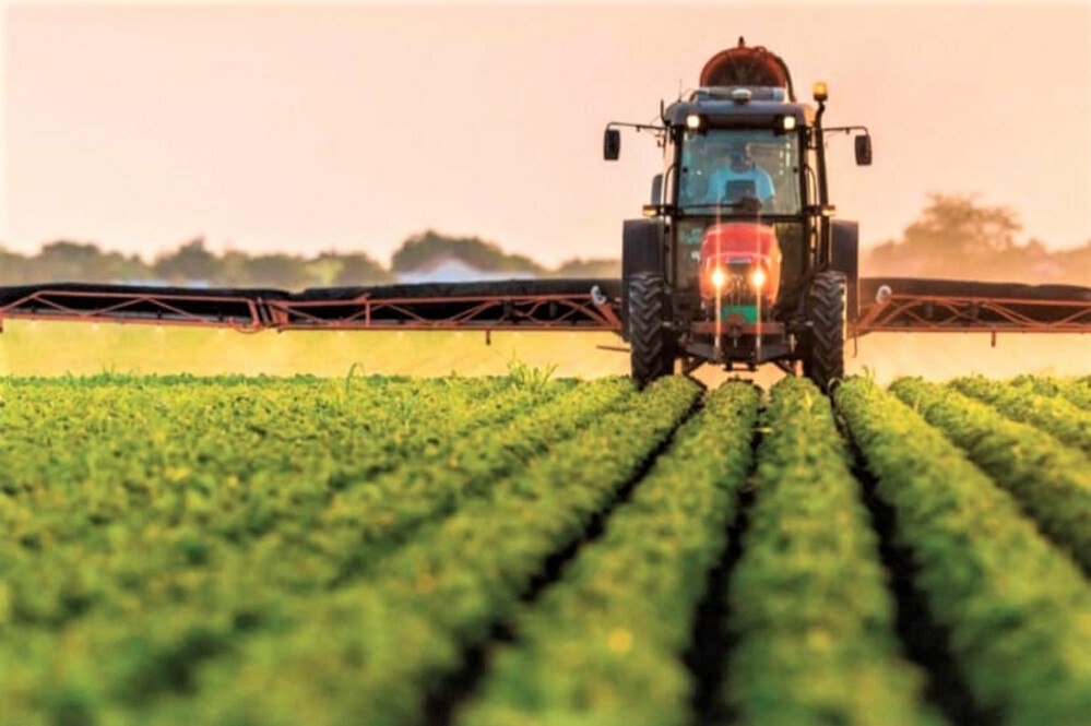 Господдержку в Краснодарском крае получили 13 сельхозкооперативов