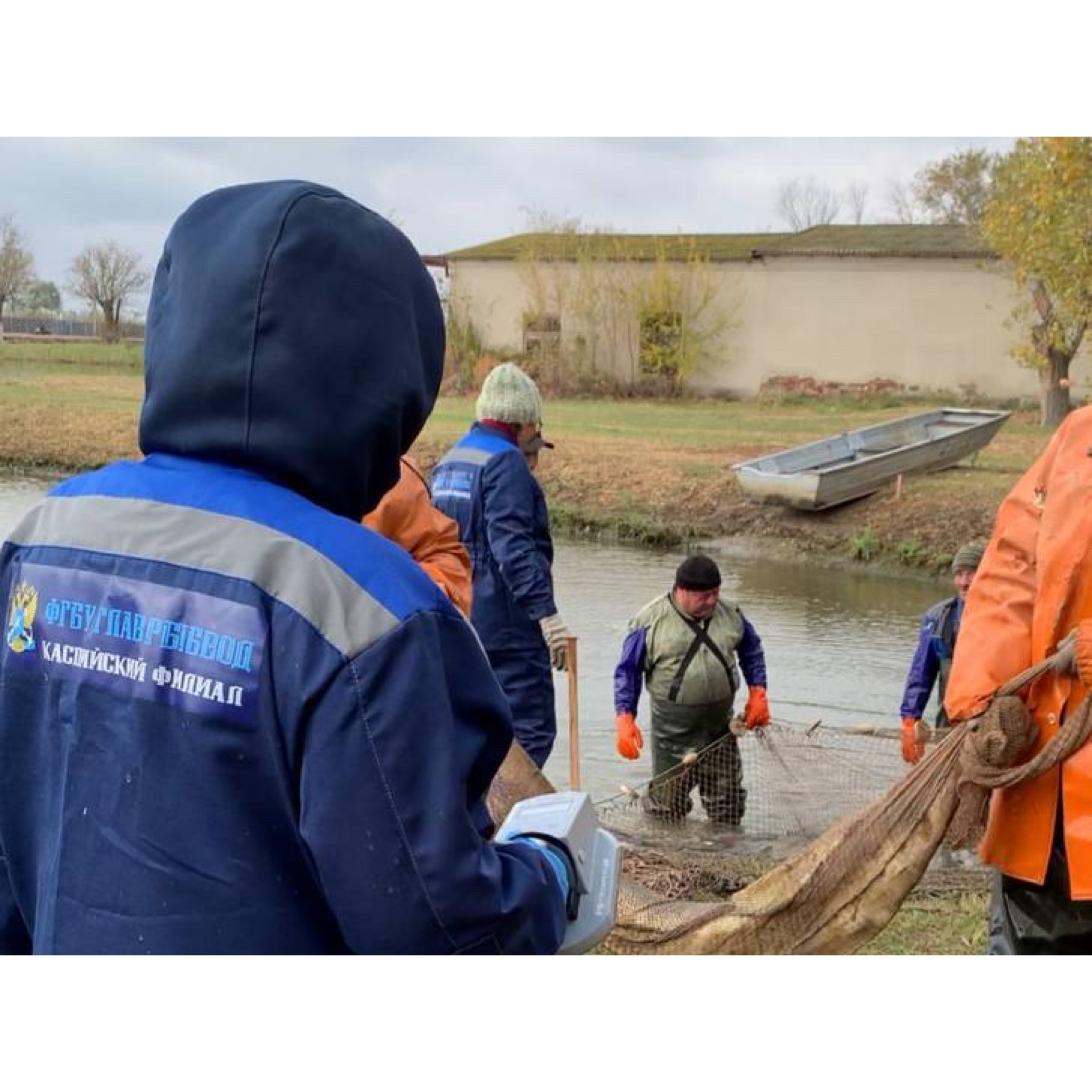 В Астраханской области осетровых отправили на зимовку