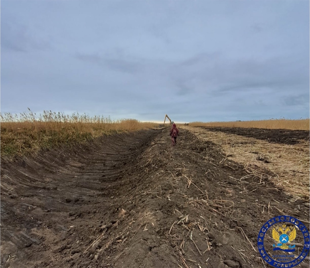 Под Астраханью очищают устья рек для нереста ценных рыб