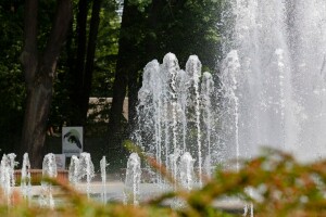 Фото