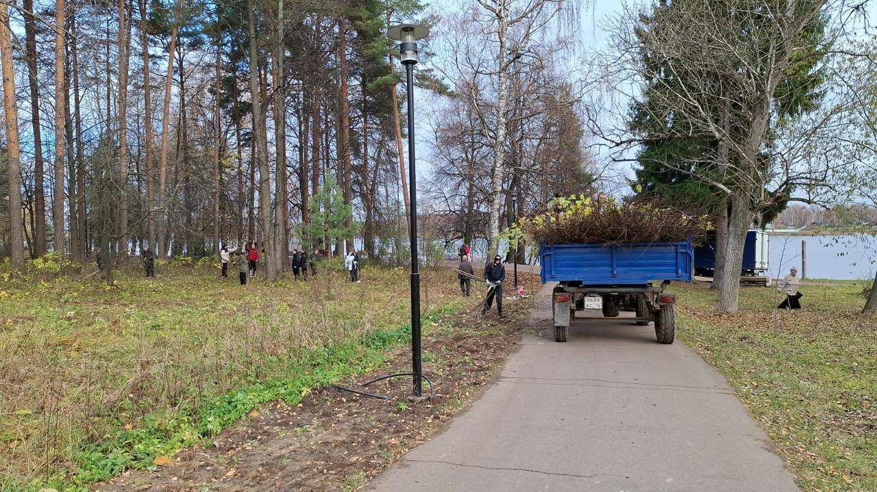 В Павловской роще Ярославля прошел субботник