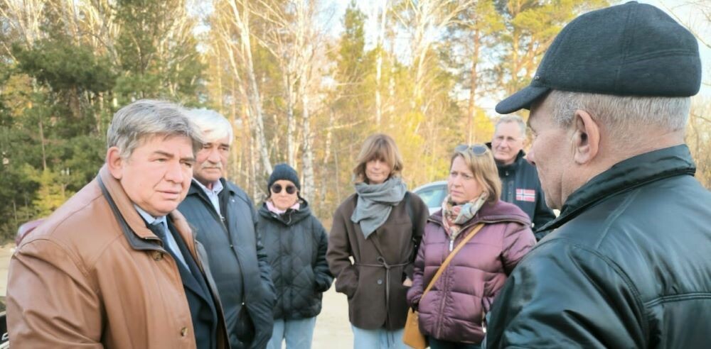 Незаконные вырубки леса в Новосибирской области сократились в полтора раза