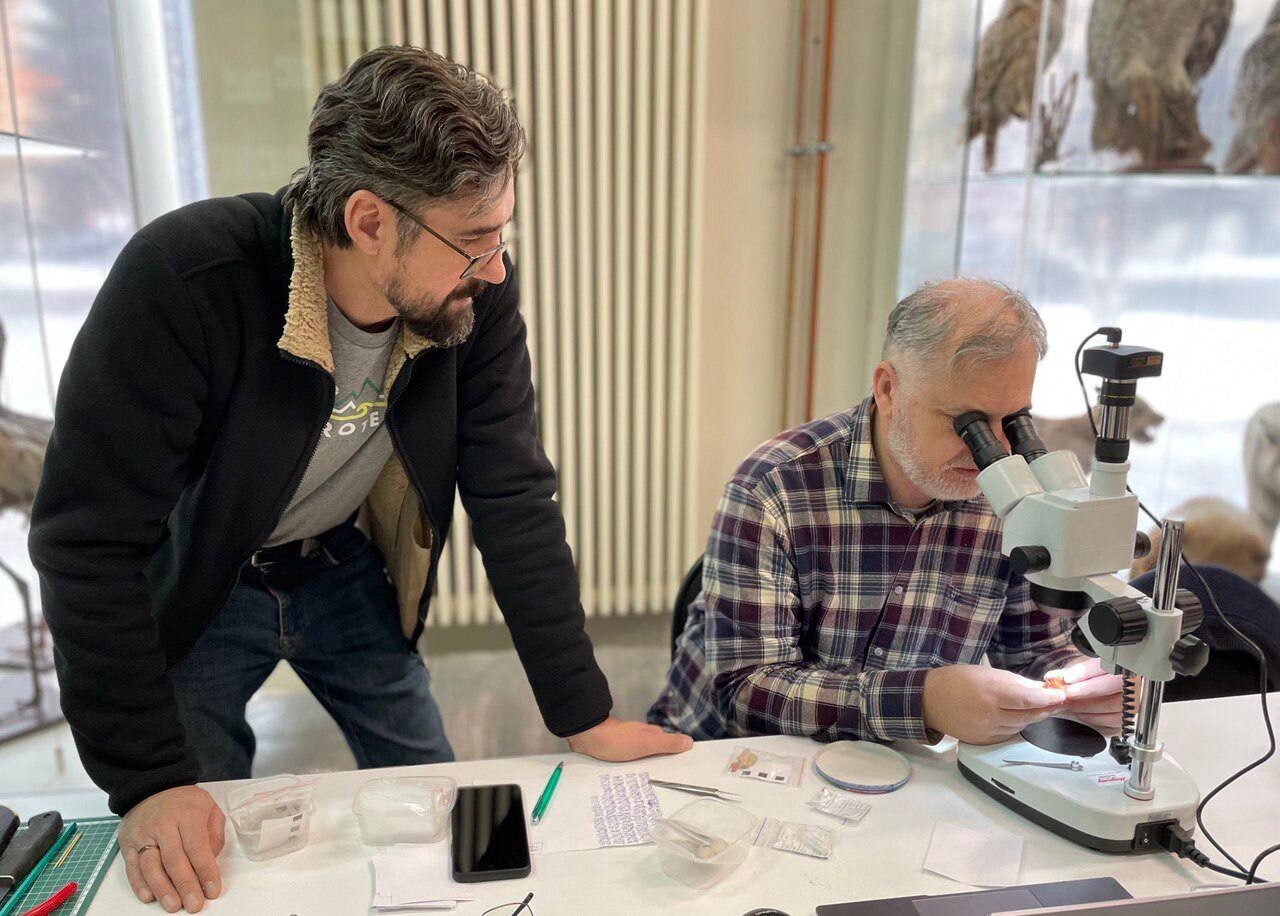 Выставка палеонтологических находок открылась в Кемерове