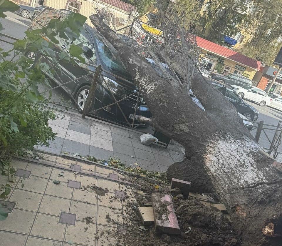 Жители Махачкалы остались без света из-за сильнейшего урагана