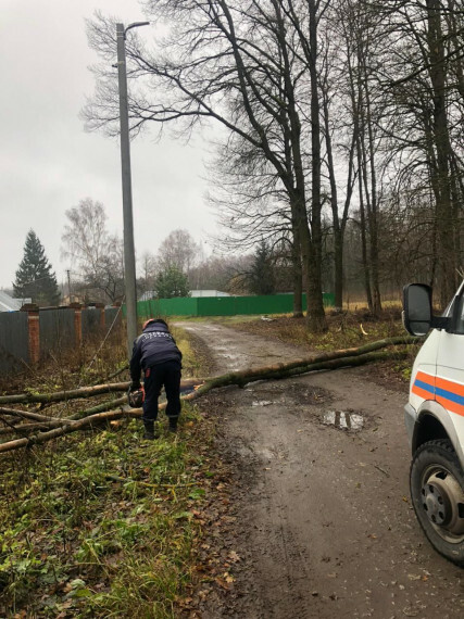 Городские службы Тулы устраняют последствия шторма