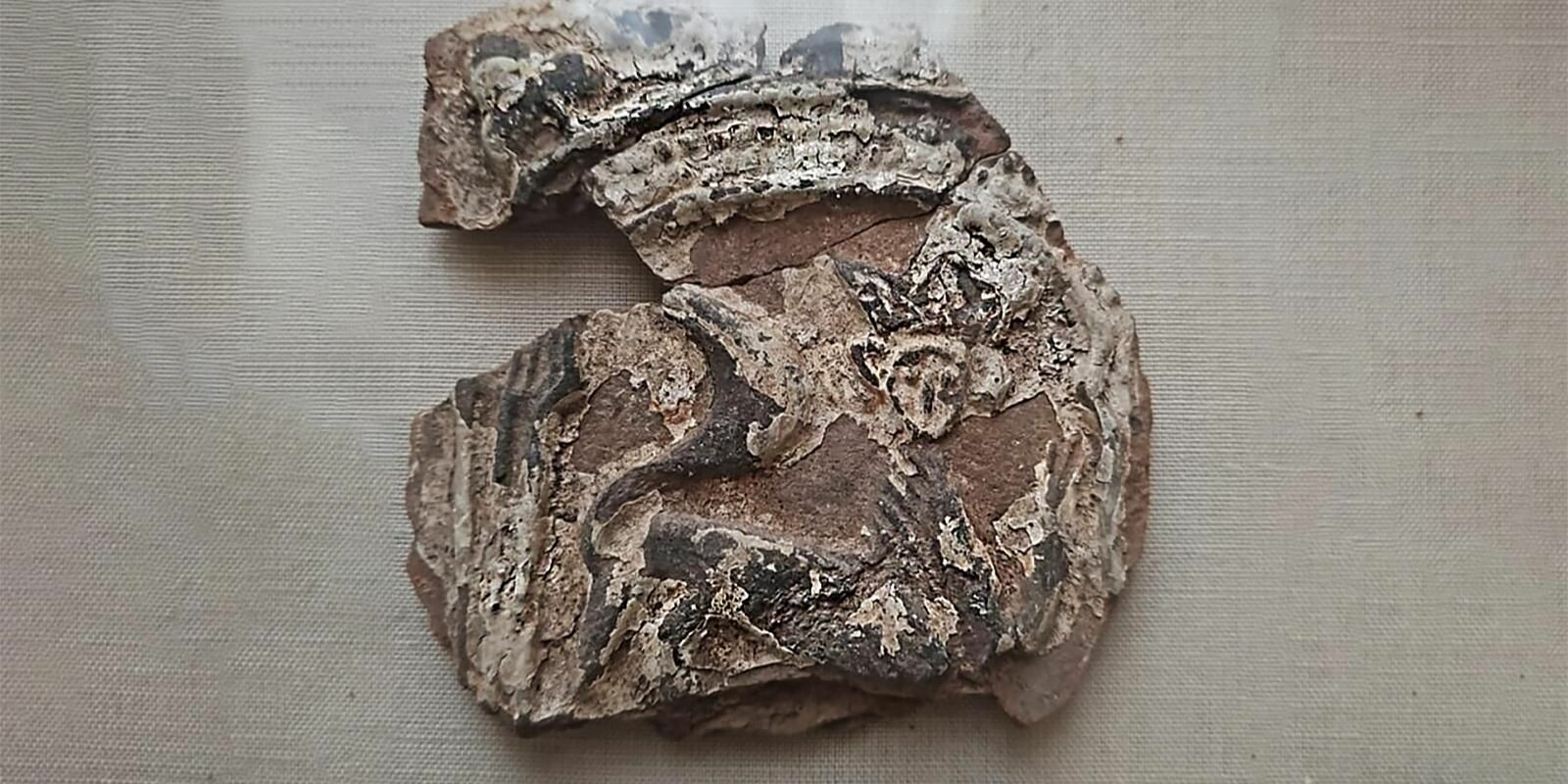 В ходе раскопок в Москве обнаружили старинные изразцы с изображением кошки