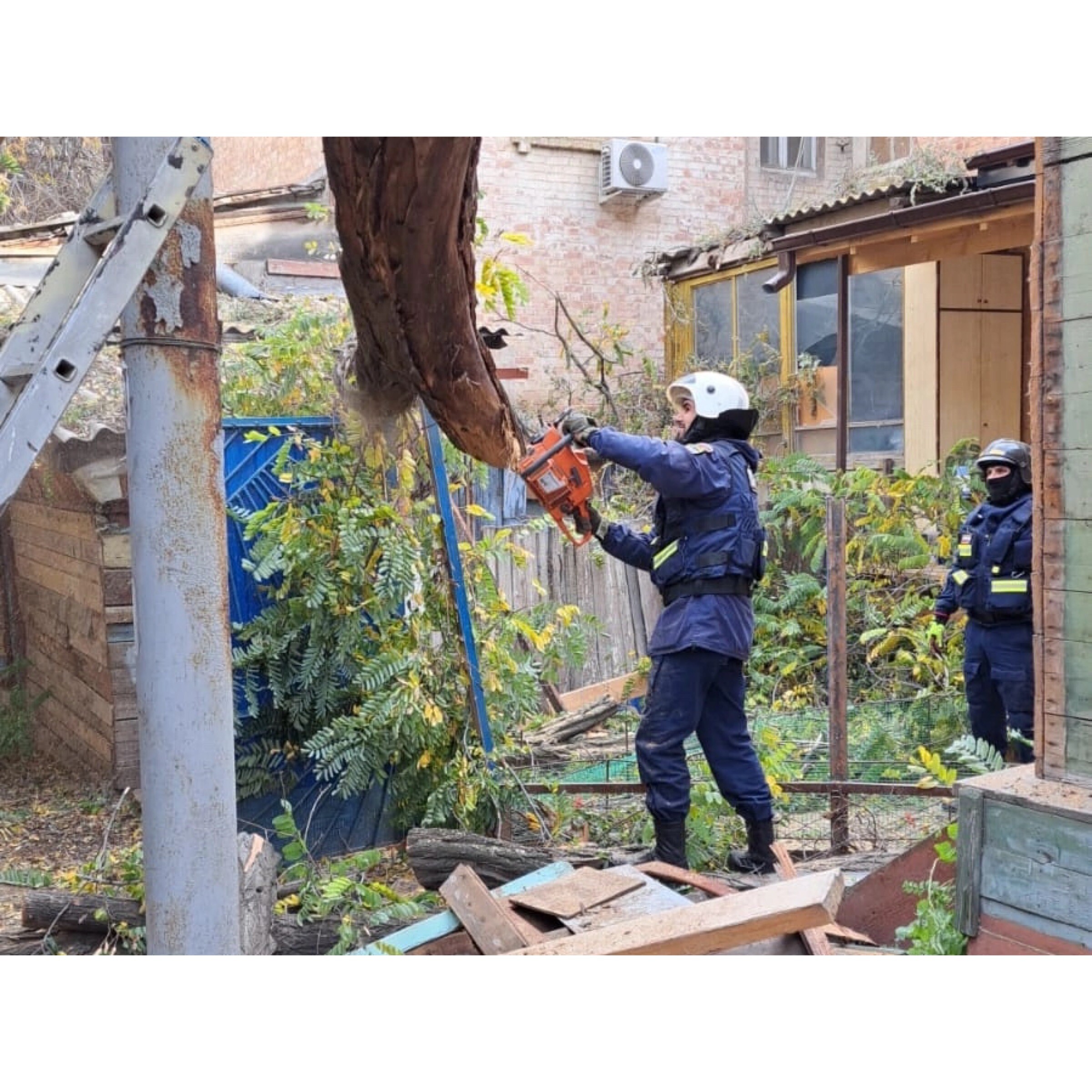 В Астрахани спасатели убрали опасное дерево, которое могло рухнуть на дом