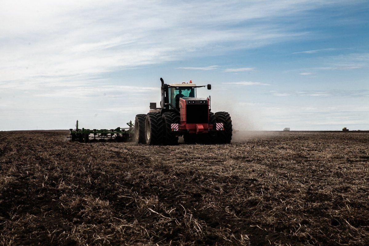 На Дону завершены осенние полевые работы