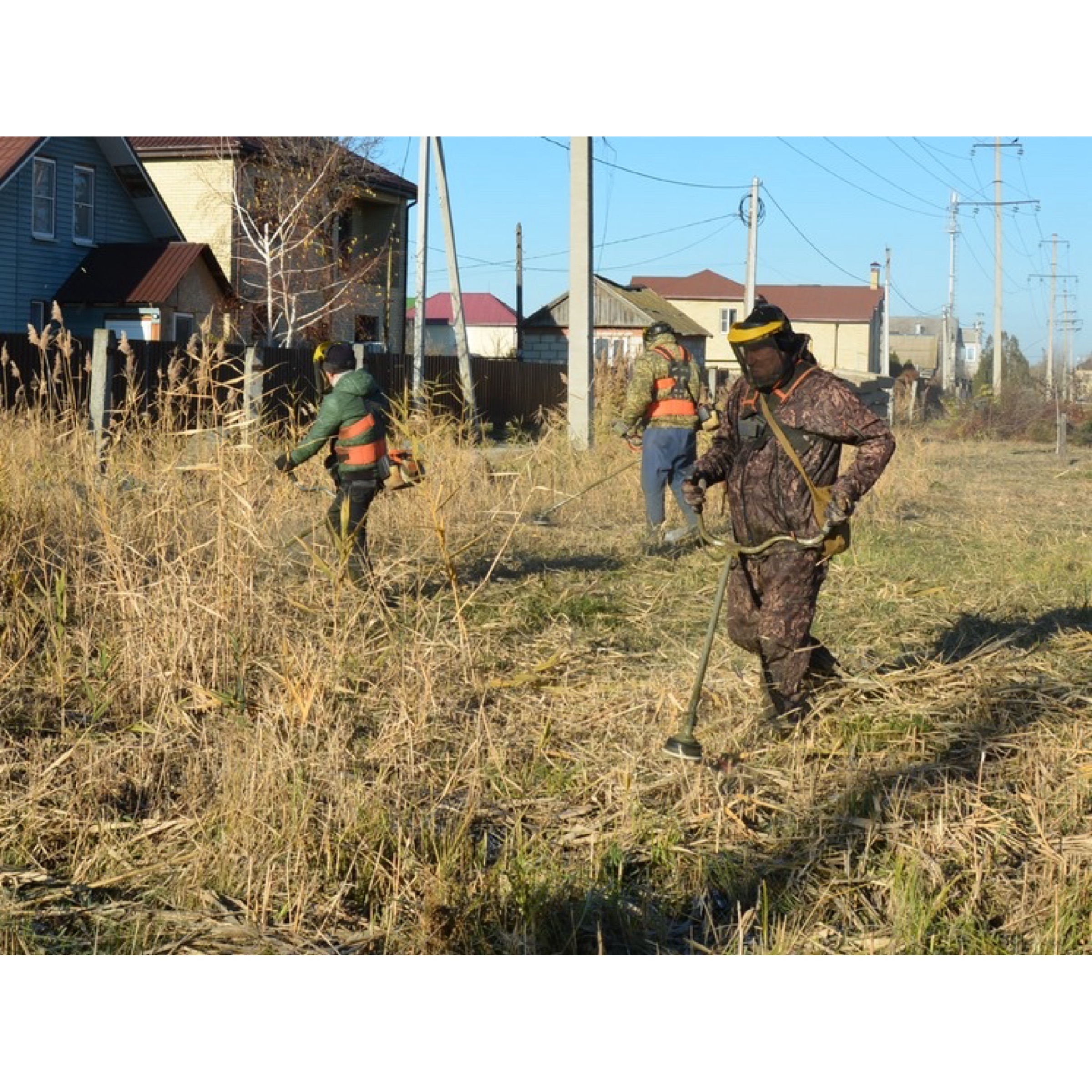 Астраханские улицы чистят от сорняков и камыша