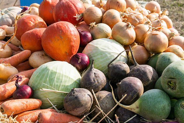 В Волгограде создали новый агрегатор для поставок продукции в торговые сети