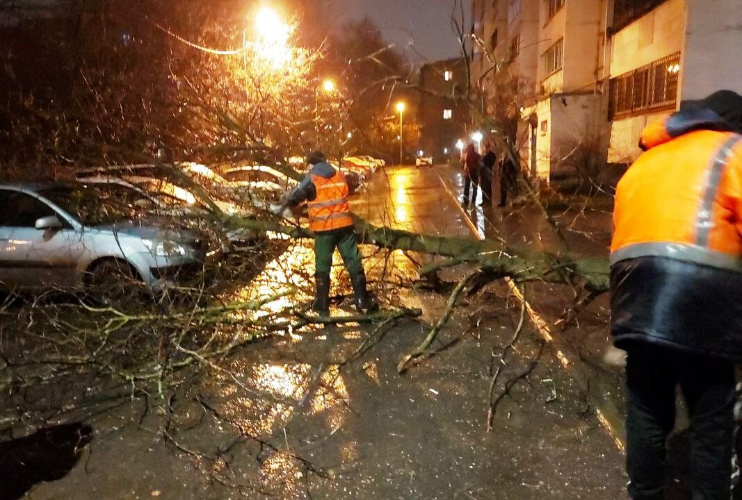 В ГО Пушкинском устранили последствия ночной стихии