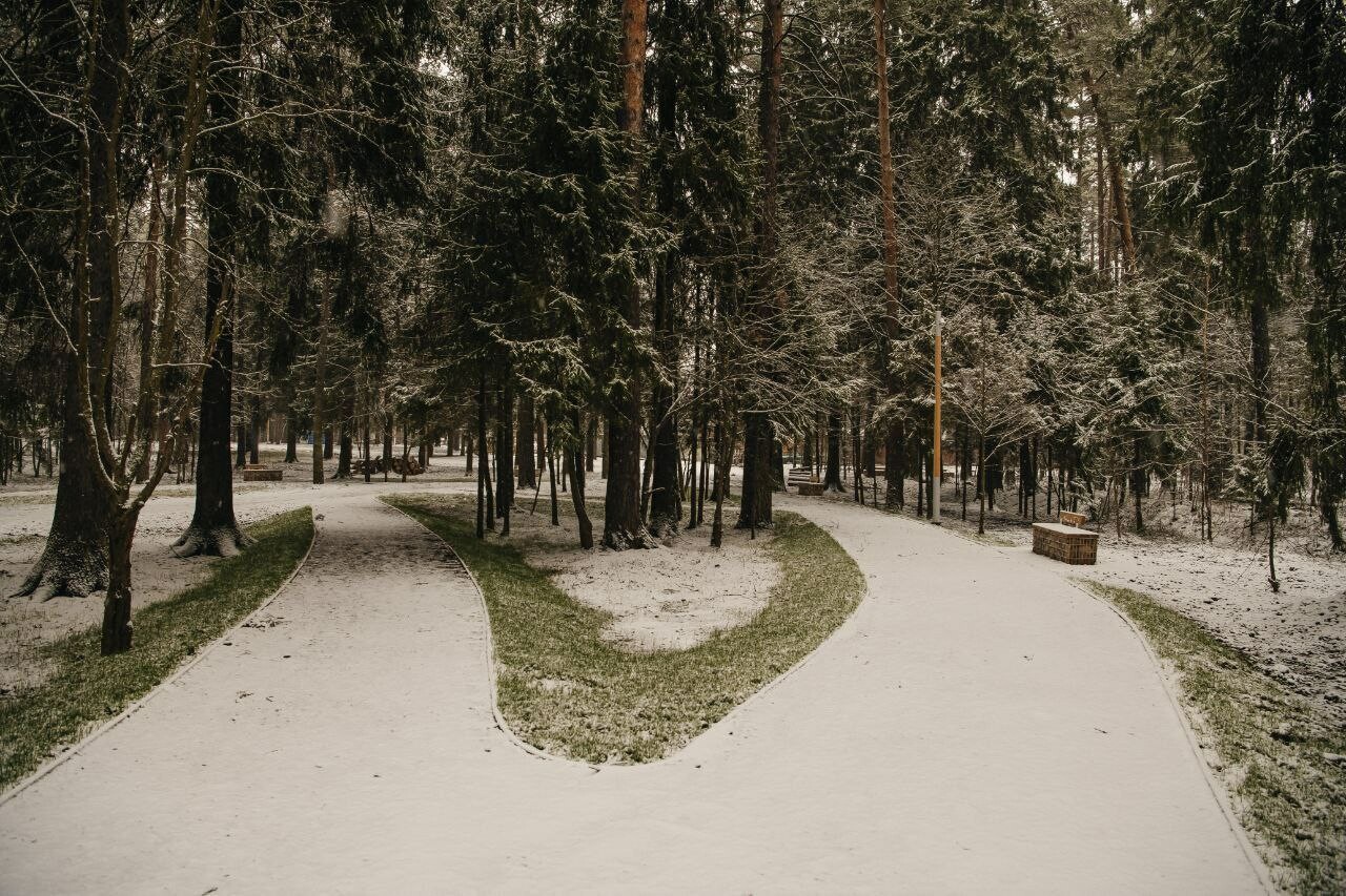 В ГО Пушкинский завершаются работы по благоустройству лесопарка «Северный»