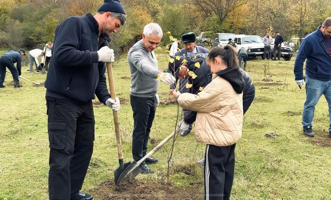 В КЧР восстановили более 487 гектаров леса