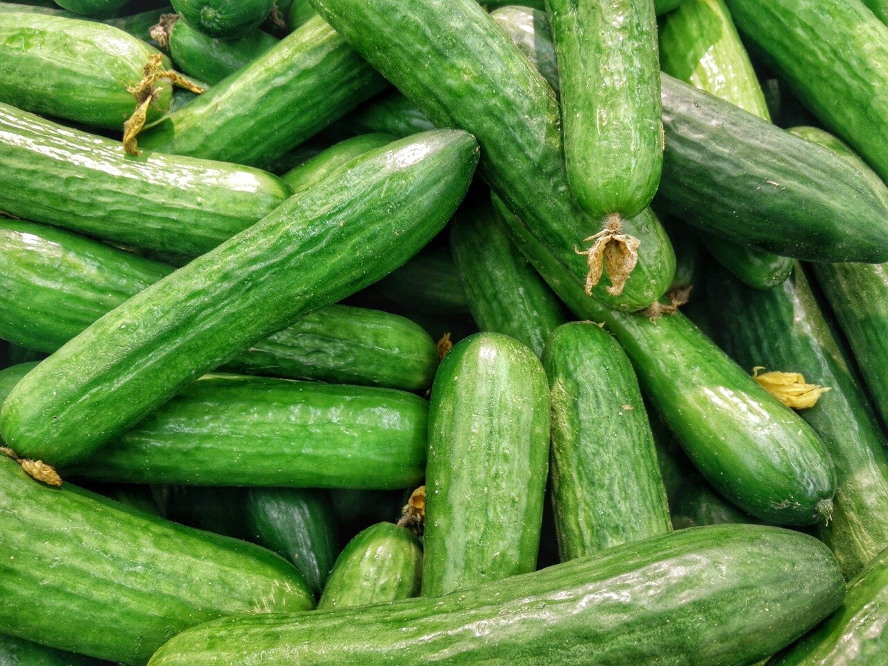 В Курской области выросли цены на огурцы и картофель