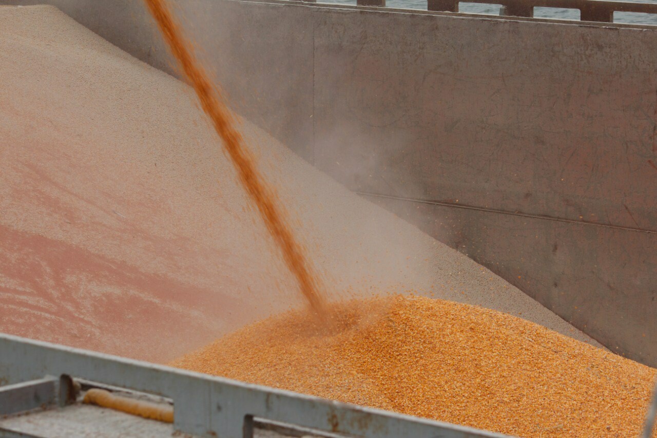 Северная Осетия поставила в Дагестан почти 60 тыс. тонн зерна в 2024 году