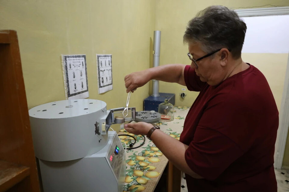 В Тюменской области завершен посев озимых культур на 2025 год