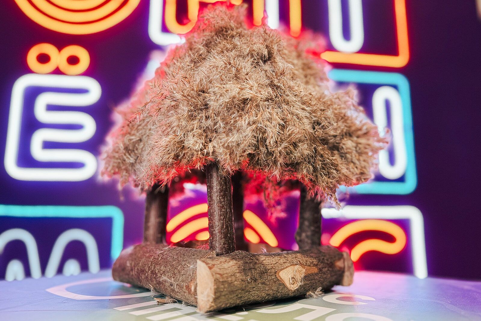 Экологическая акция «Накорми птицу» стартовала в Москве