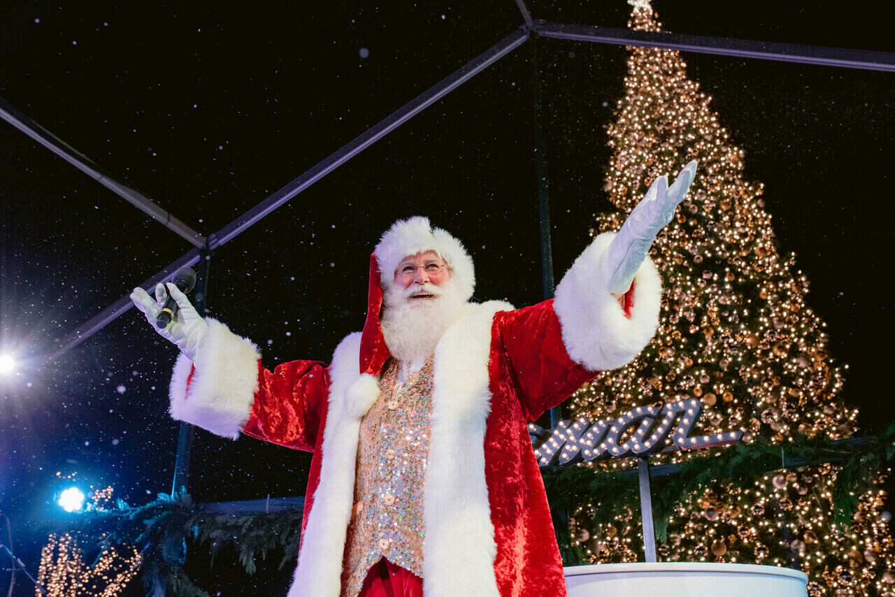 Жителям Махачкалы рассказали, за сколько можно заказать Деда Мороза на дом