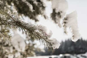 Фото