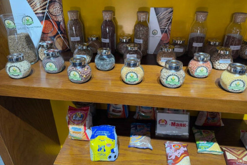 Агропредприятия Дона расширят линейку продукции, представленной в Египте