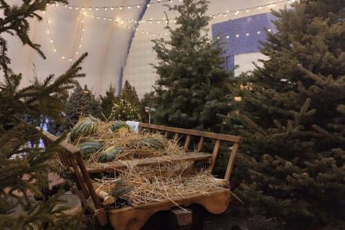 Гранты от Президентского фонда культурных инициатив получат 16 проектов из Ростовской области