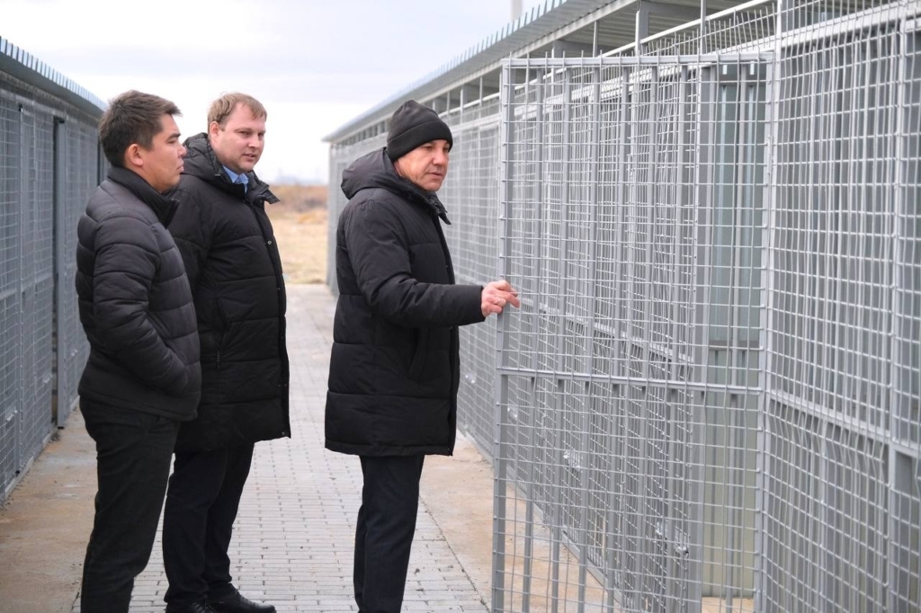 В Приволжском районе Астраханской области откроется новый пункт для бездомных собак