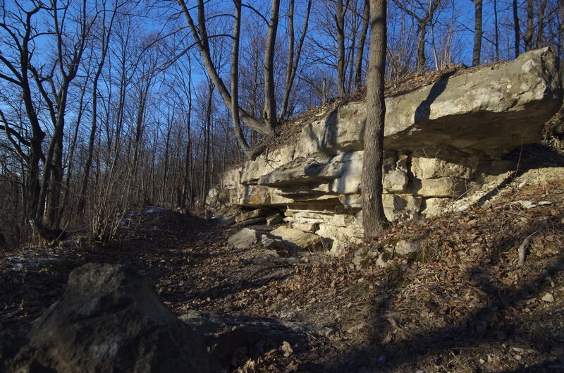 Шапша призвал коммунальщиков взяться за уборку улиц города
