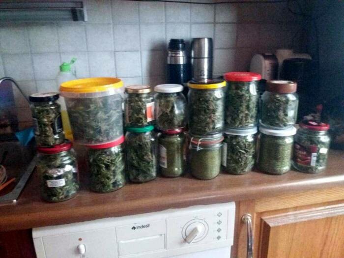 В Тверской области ликвидировали подпольную нарколабораторию