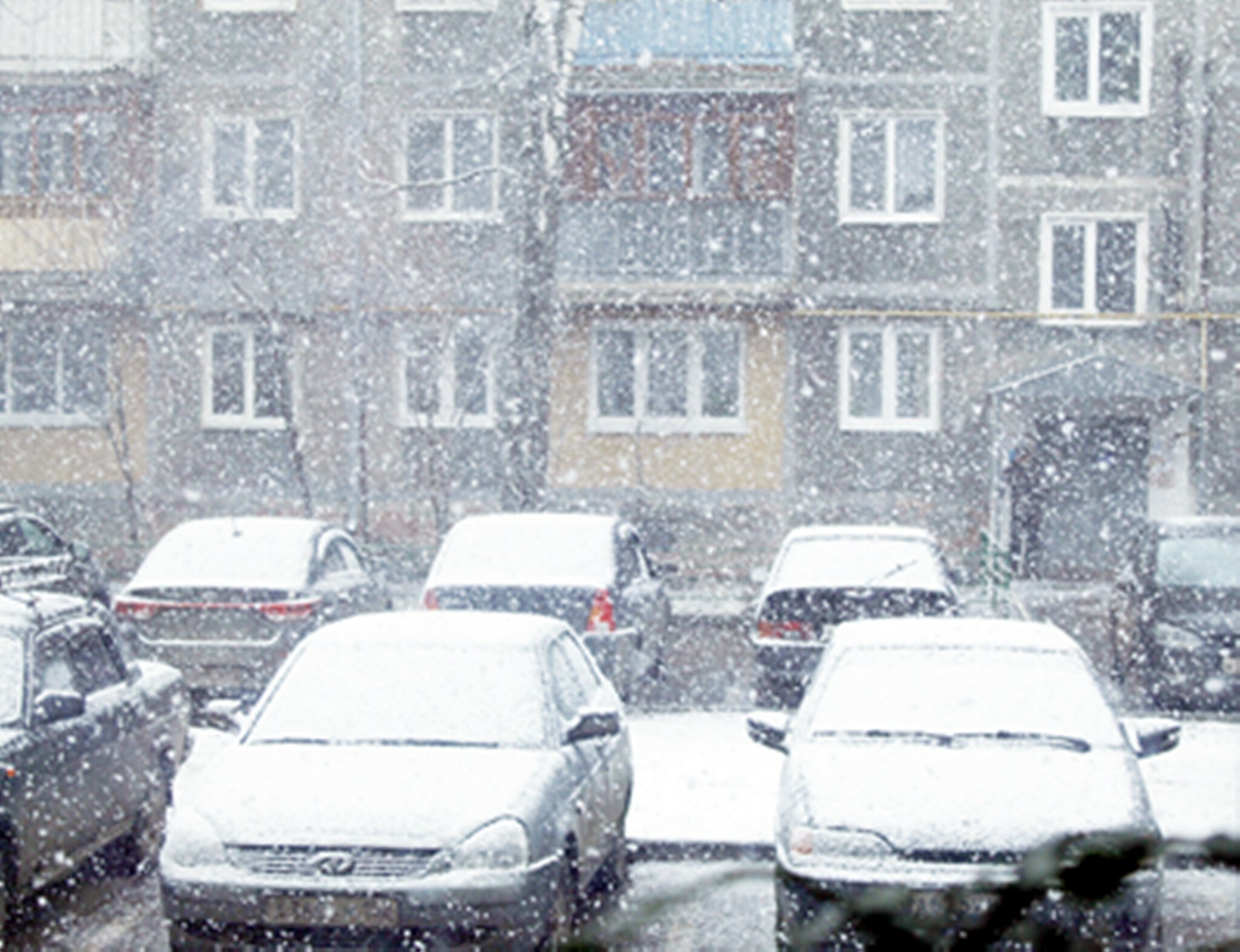 Жителей Тверской области предупредили о сильном снегопаде