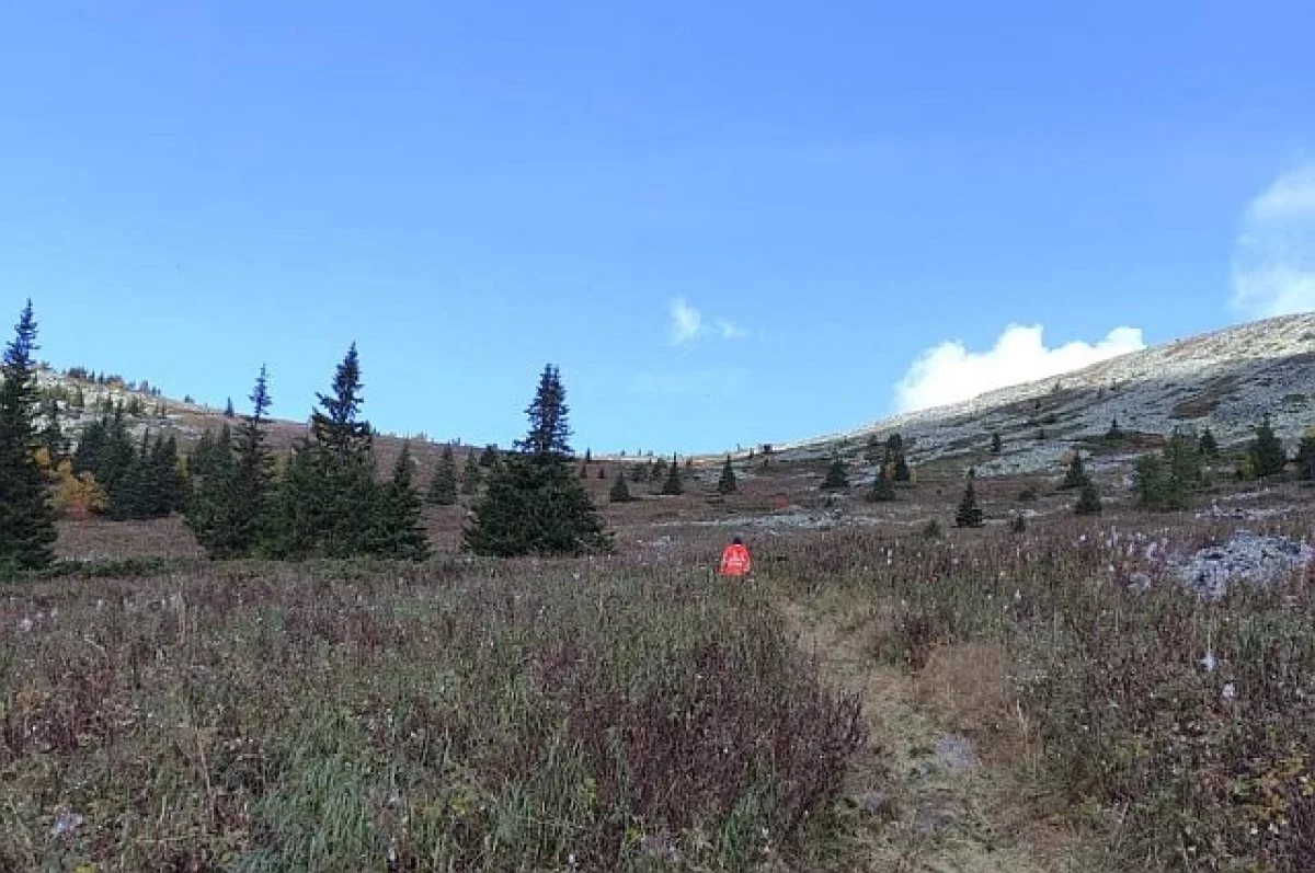 В Башкирии планируют принять закона о регулярных рейдах в заповедниках