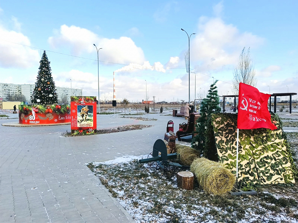 В Волгоградской области выбрали главную елку для финала конкурса «Елки России»