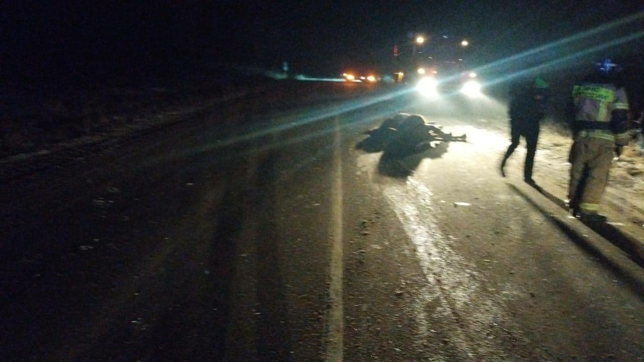 В КЧР лошадь спровоцировала ДТП с тремя пострадавшими