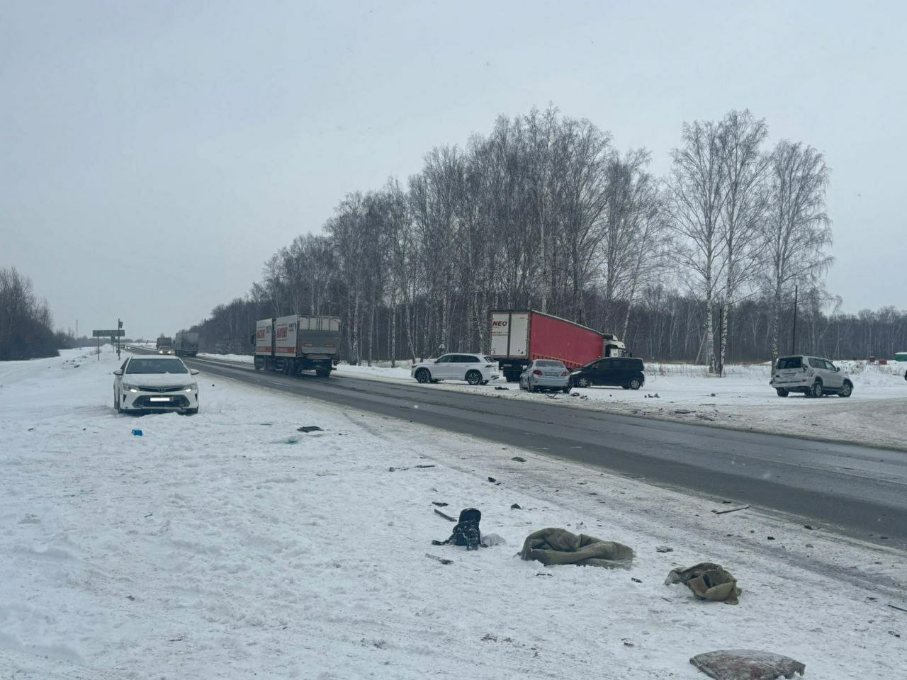 В массовом ДТП на трассе Р-254 в Новосибирской области погиб водитель
