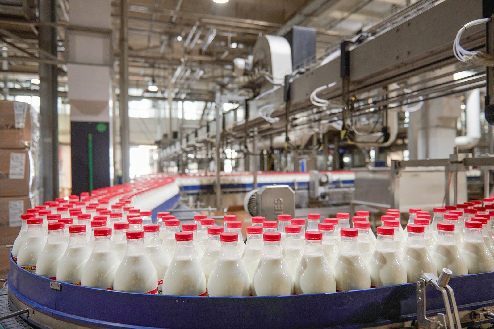 Московские предприятия нарастили производство мясной, рыбной и молочной продукции