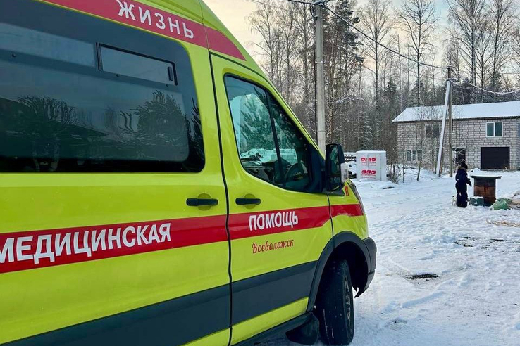 В Северной Осетии при спасении кота погиб сотрудник МЧС