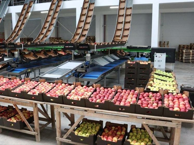 Мощностей хранилищ в Дагестане в 8 раз меньше, чем требуется