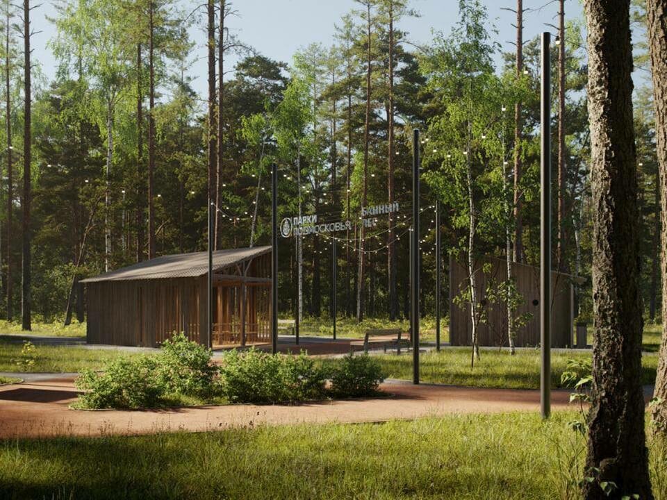 В Банном лесу создадут зону отдыха
