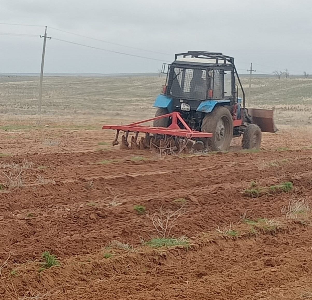 В Астраханской области высадят 176 тысяч деревьев в рамках экопроекта