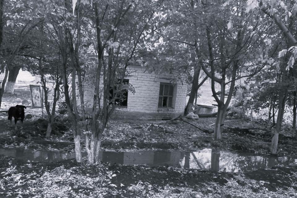 Исправительная колония в Волгограде загрязнила почву сточными водами