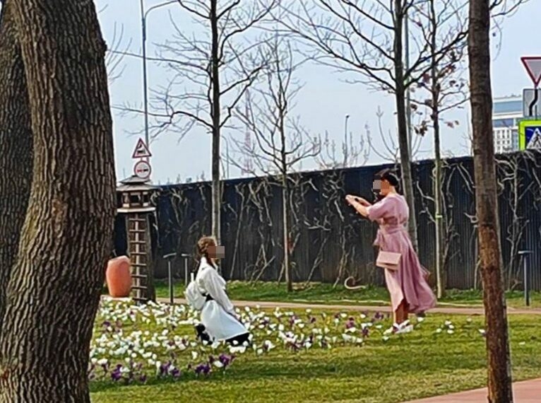 В Краснодаре посетители парка топчут крокусы ради фото