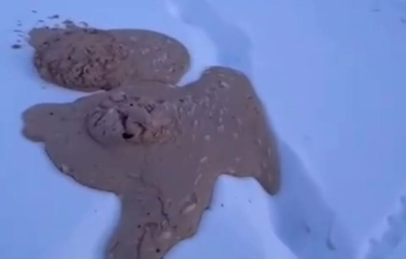 В Якутии загадочная жижа вылезла из земли и попала на видео