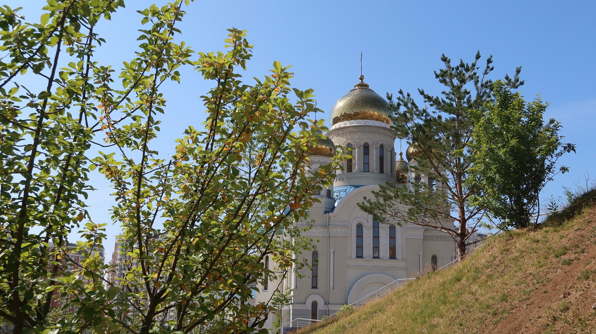 Священник Савченко: «На верующего человека колдовство не действует»