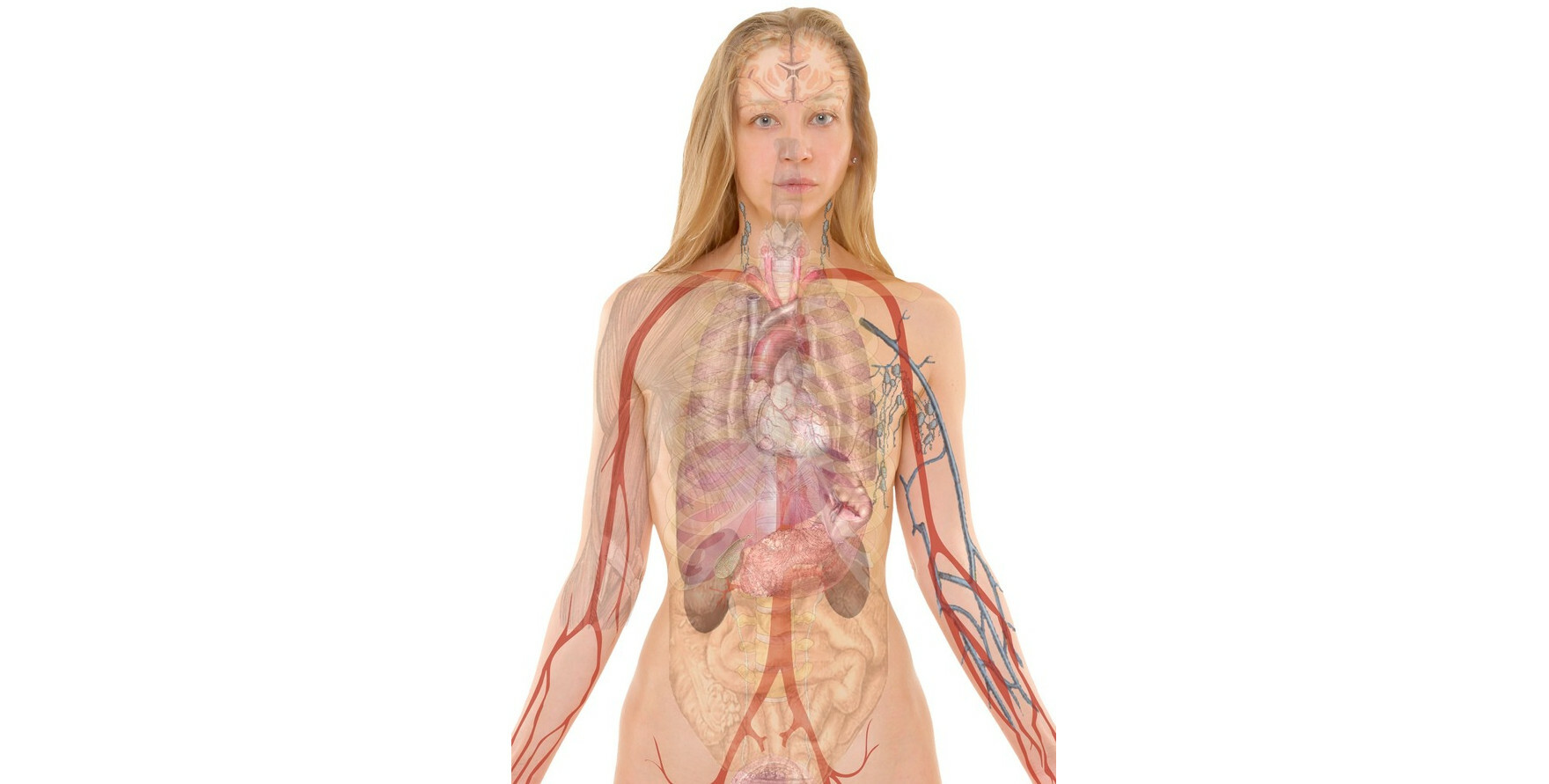 Названы причины распространения болезней почек