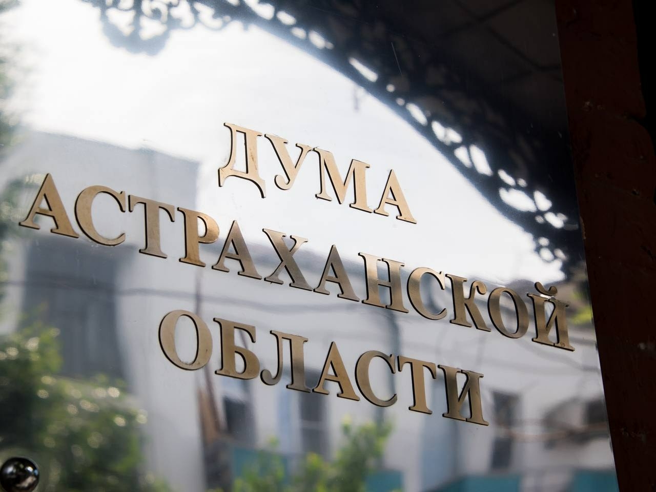 В Астраханской области поддержали проект федерального закона о бездомных животных