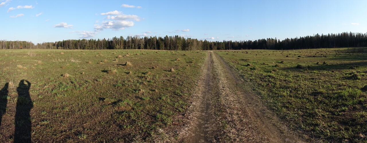 Жители калужской деревни недовольны отремонтированной щепками дорогой